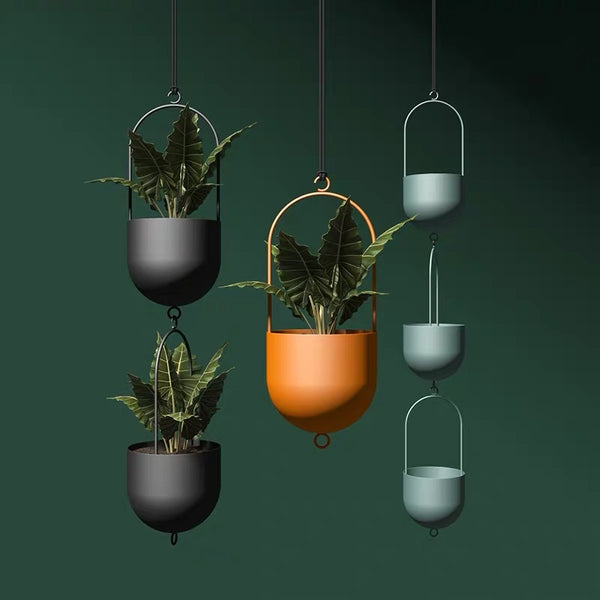 Hanging Potted