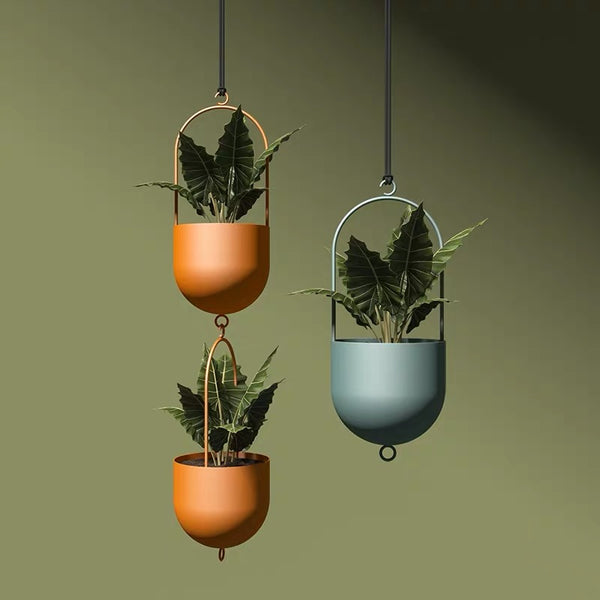 Hanging Potted
