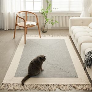 Fringed Grey Border Rug