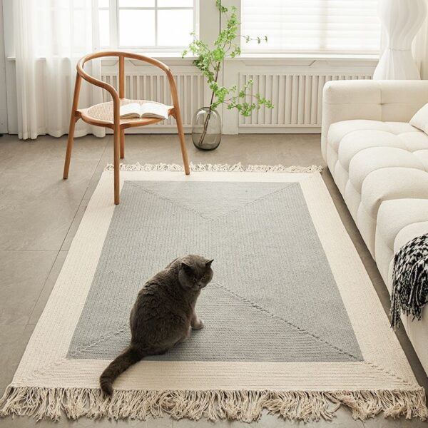 Fringed Grey Border Rug