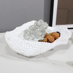 Coral Display Tray