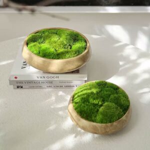 Moss Display Bowl