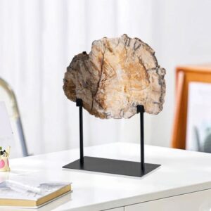 Petrified Wood Sculpture